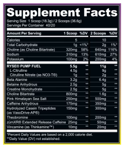 RYSE Godzilla Pre-Workout -Sports Energy Supplement Shop Blackberry