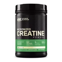 Optimum Nutrition Micronized Creatine Powder -Sports Energy Supplement Shop Fruitpunch30 2023 10 16T231025.953