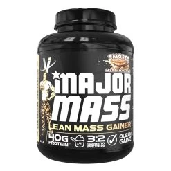 Major Mass Lean Mass Gainer -Sports Energy Supplement Shop Major Mass Lean Mass Gainer Protein by VMI Smores Weight Gainer