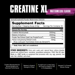 Animal Creatine XL 9 Animal Creatine XL -Sports Energy Supplement Shop creatinexl suppfacts watermelon